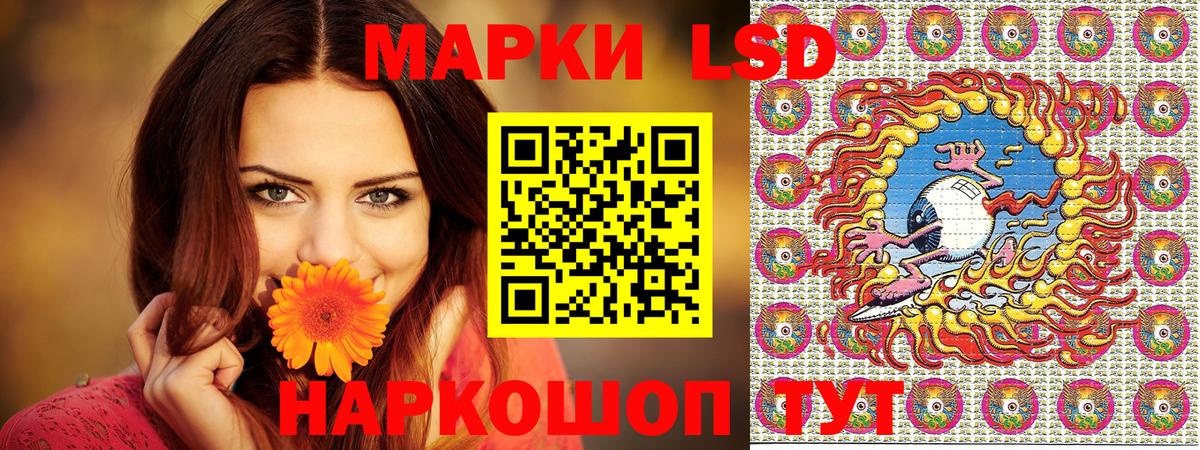APVP Брянск